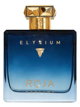 Roja Elysium Parfum Pour Homme EDP 100Ml - AllurebeautypkRoja Elysium Parfum Pour Homme EDP 100Ml