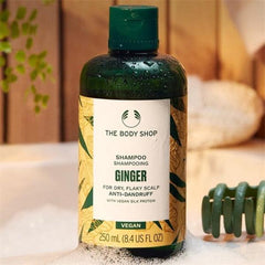 The Body Shop Ginger Anti Dandruff Shampoo 250Ml - AllurebeautypkThe Body Shop Ginger Anti Dandruff Shampoo 250Ml