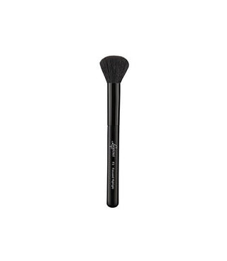 Luscious Focused Highlight Brush - AllurebeautypkLuscious Focused Highlight Brush