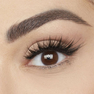 Close-up of an eye with long, dark eyelashes and a well-groomed eyebrow.