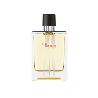 Hermes Terre D'Hermes Men EDT