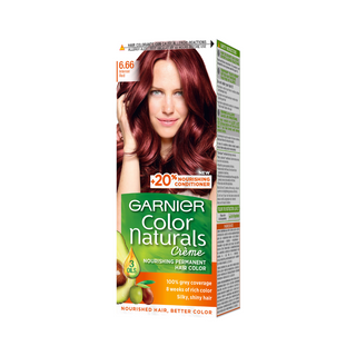 Garnier Color Naturals Color