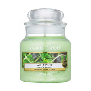 Yankee Candles Classic Small Jar Wild Mint 104G - AllurebeautypkYankee Candles Classic Small Jar Wild Mint 104G