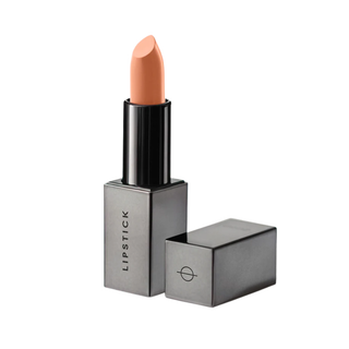 Lipstick with a metallic case on a white background