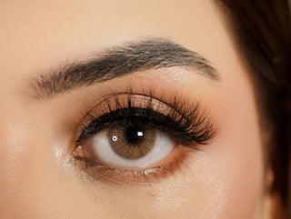 Ayesha Sabina Classic Eye Lash