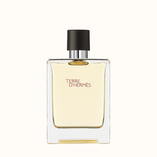 Hermes Terre D Hermes EDT For Men 100Ml - AllurebeautypkHermes Terre D Hermes EDT For Men 100Ml