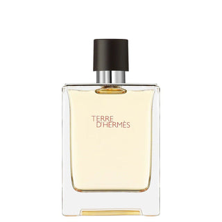 Hermes Terre D Hermes For Men Edt 100Ml - AllurebeautypkHermes Terre D Hermes For Men Edt 100Ml