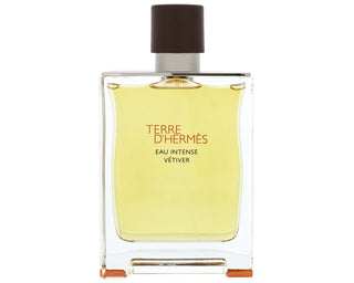 Hermes Terre D'Hermes Eau Intense Vetiver For Men EDP 200Ml - AllurebeautypkHermes Terre D'Hermes Eau Intense Vetiver For Men EDP 200Ml