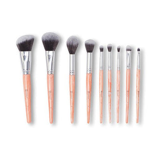 Bh Cosmetics Zodiac 9 Pieces Brush Set - AllurebeautypkBh Cosmetics Zodiac 9 Pieces Brush Set