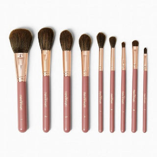 Bh Cosmetics Its 9 Piece Brush Set - AllurebeautypkBh Cosmetics Its 9 Piece Brush Set