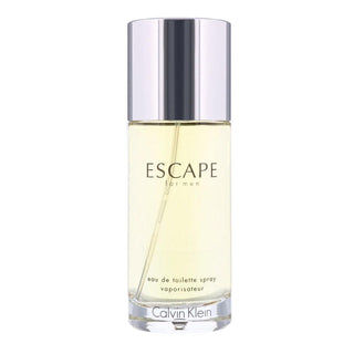 Calvin Klein Escape For Men Edt 100Ml - Allurebeautypk